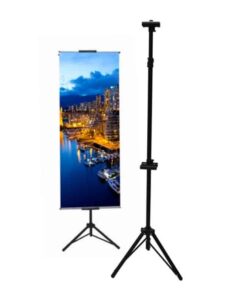 Alternative view of Bunting / Streamer