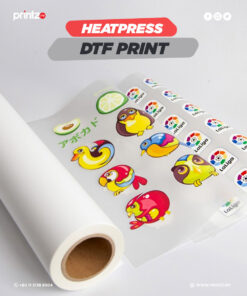 DTF Film Print (A3)